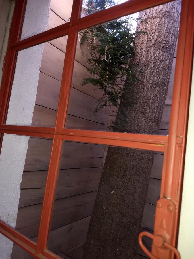Ferienwohnung El Tamarisco Puerto Pirámides Exterior foto